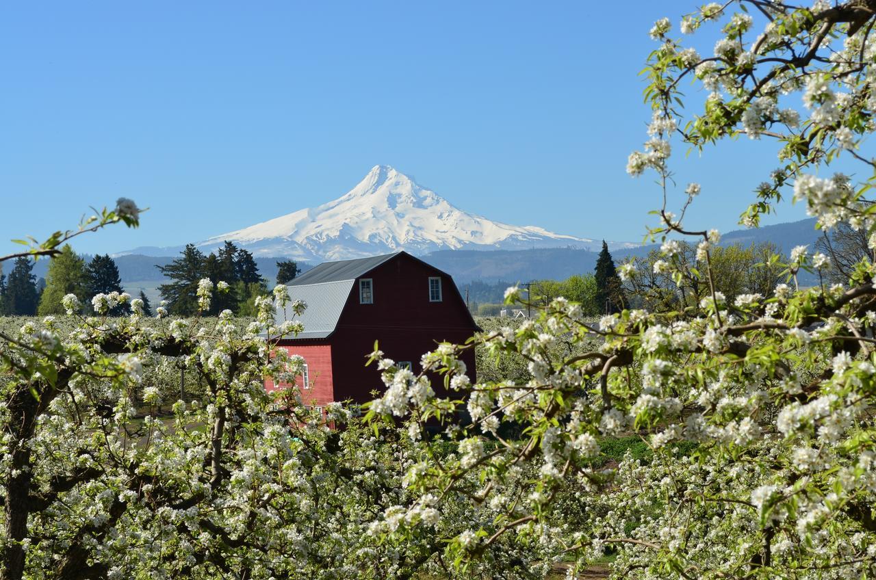 Old Parkdale Inn Bed And Breakfast Hood River Εξωτερικό φωτογραφία